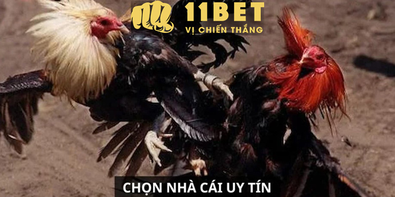 Casino 11bet - Đột Phá Trải Nghiệm Cùng Trò Chơi Baccarat Lôi Cuốn